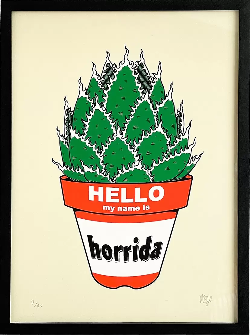 Agave horrida