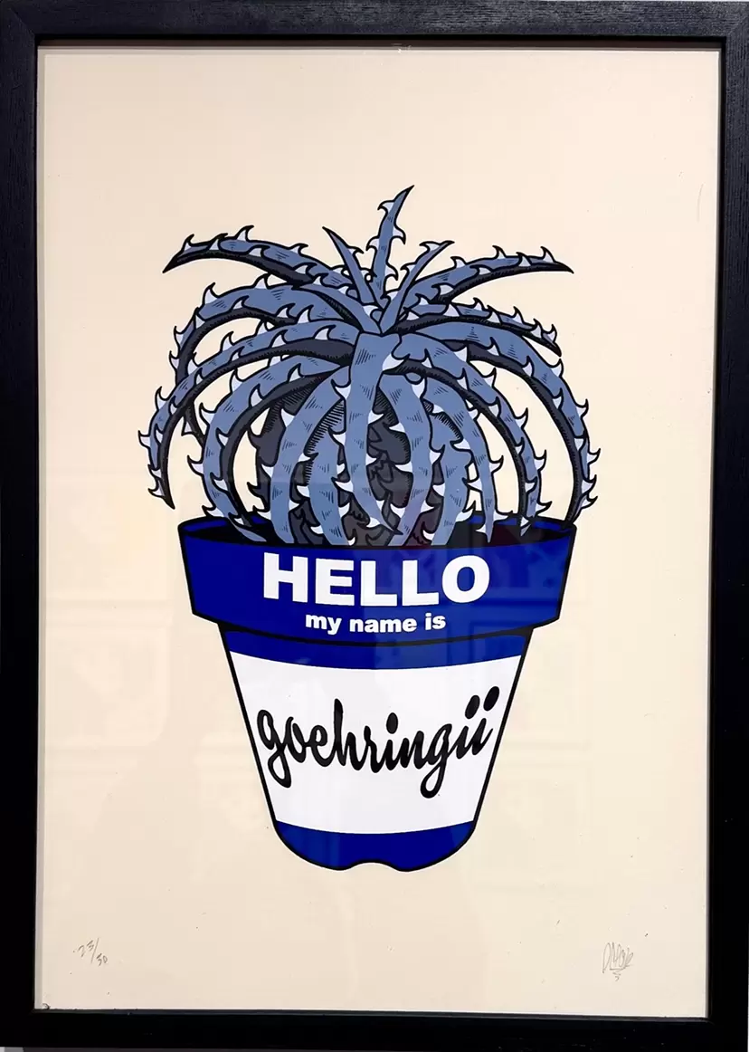 Dyckia goehringii