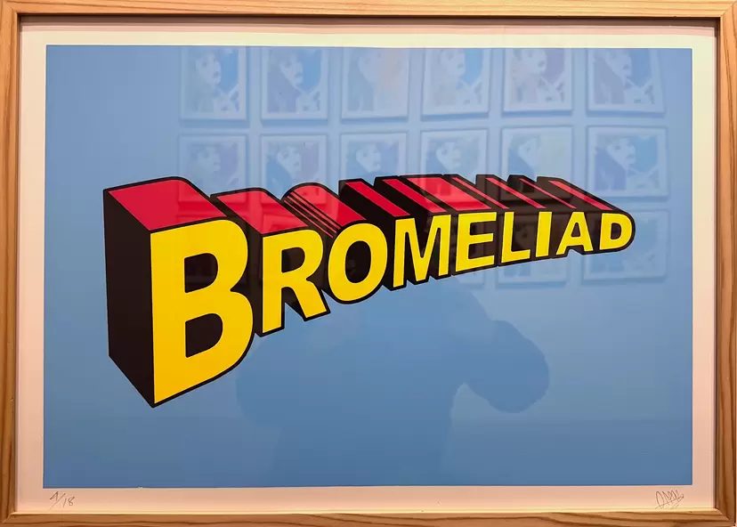 BROMELIAD