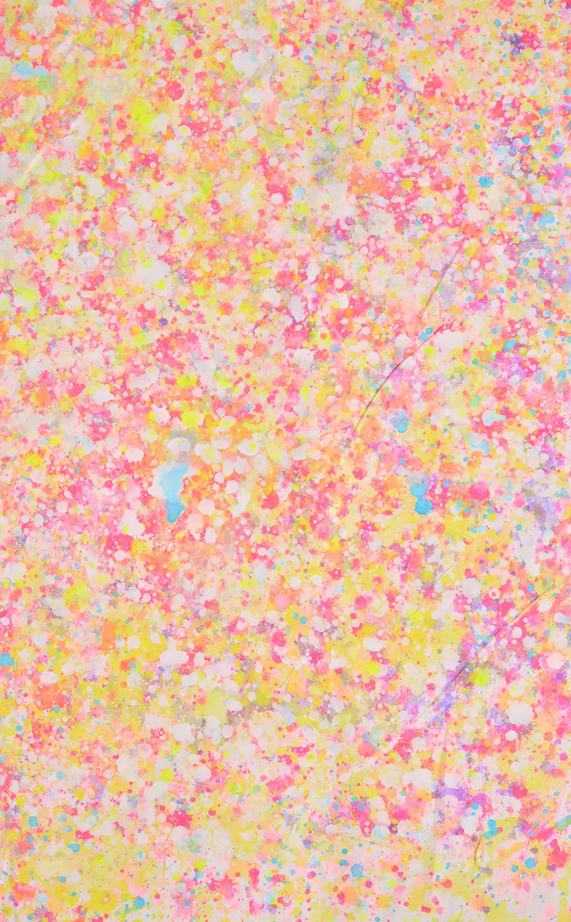 ウシマルカラー の記録 by Ushimaru Saeki | 現代アートの販売