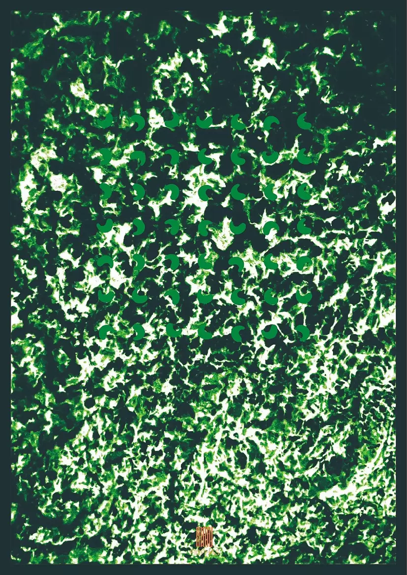 Bardo 041