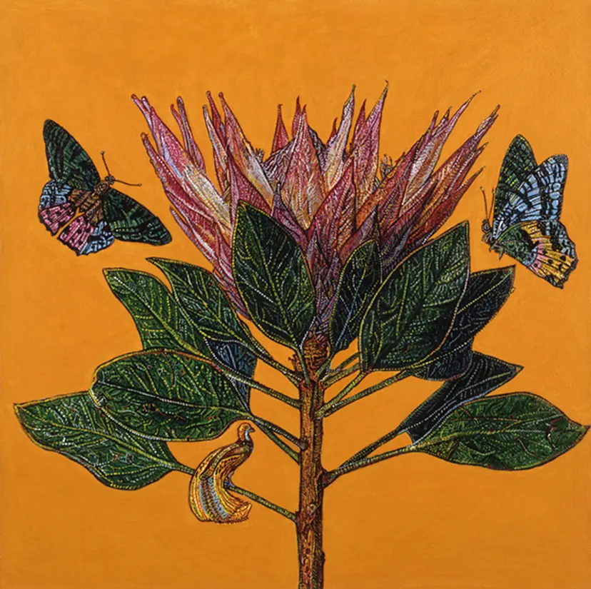 Pink king Protea