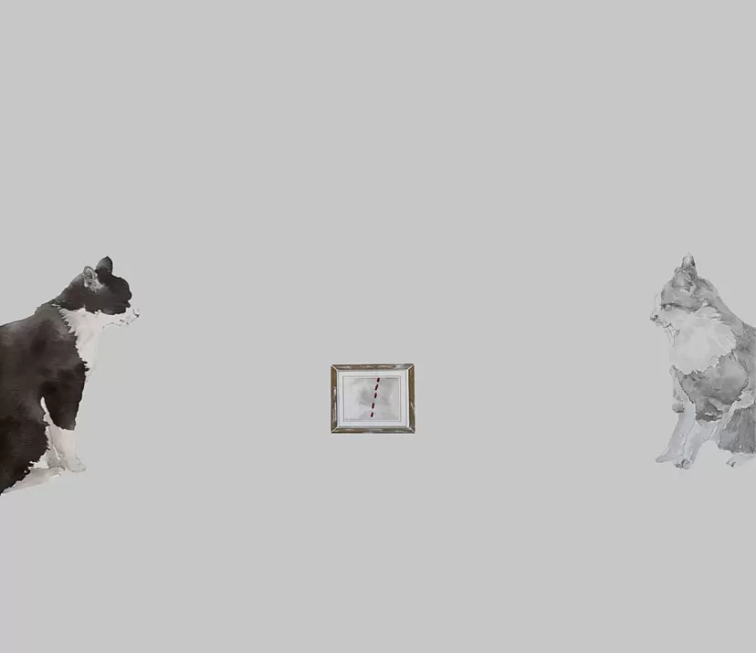 猫 告白