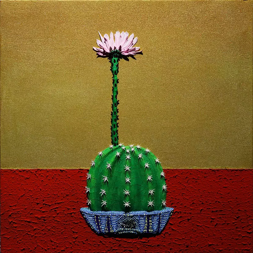 Echinopsis SQ-Line