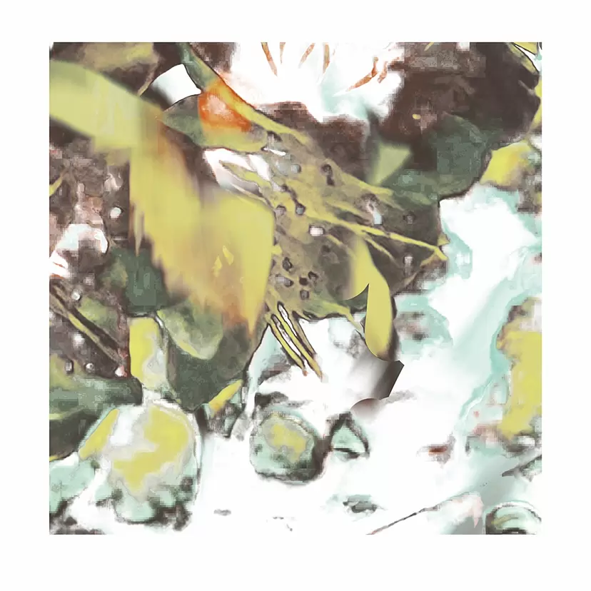 Intimate Series 003 (from Plum Blossoms, 2024) 