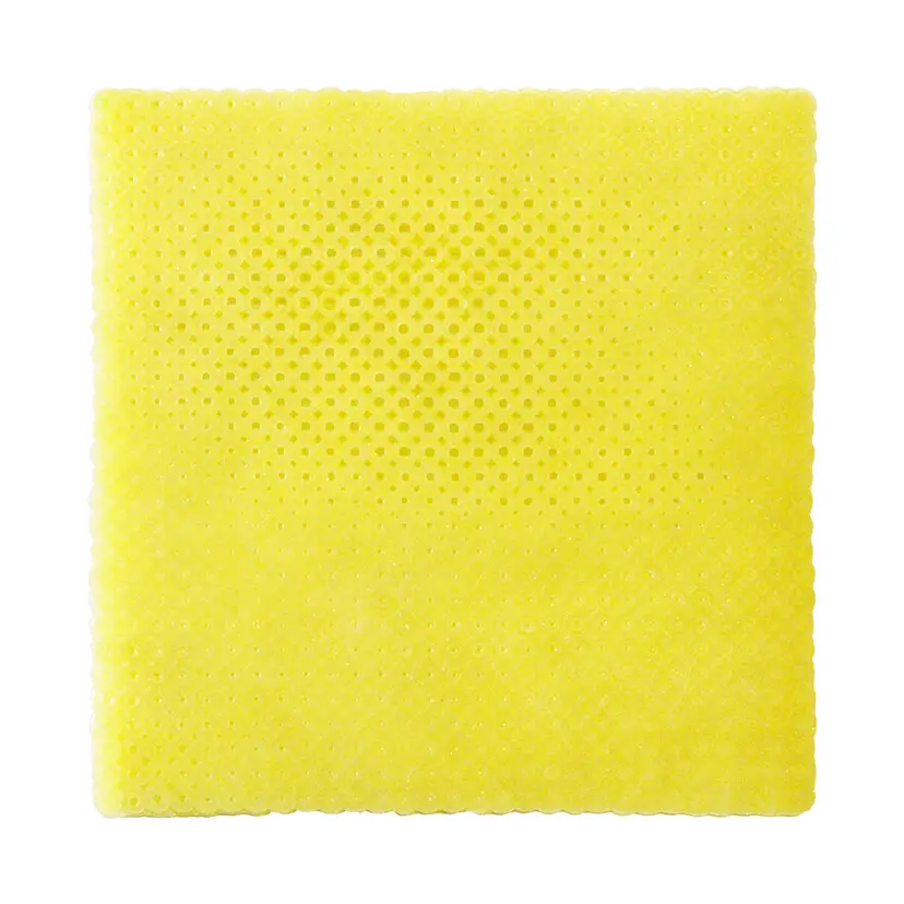COLORNY  (2019.2No81)