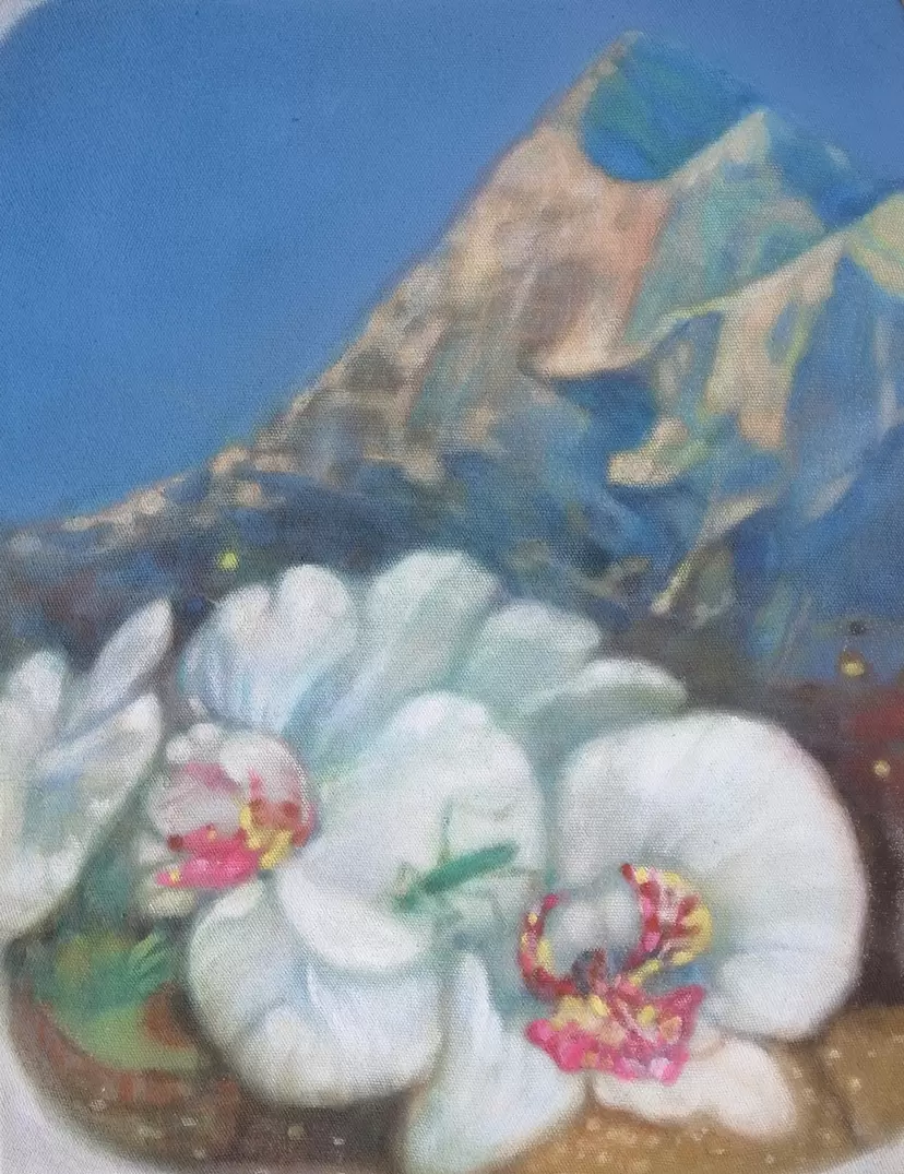 Mountain
