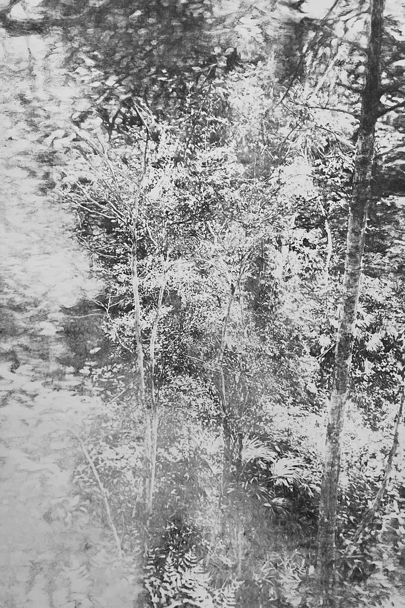 echos of forest #7