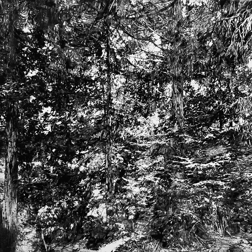 forest #3