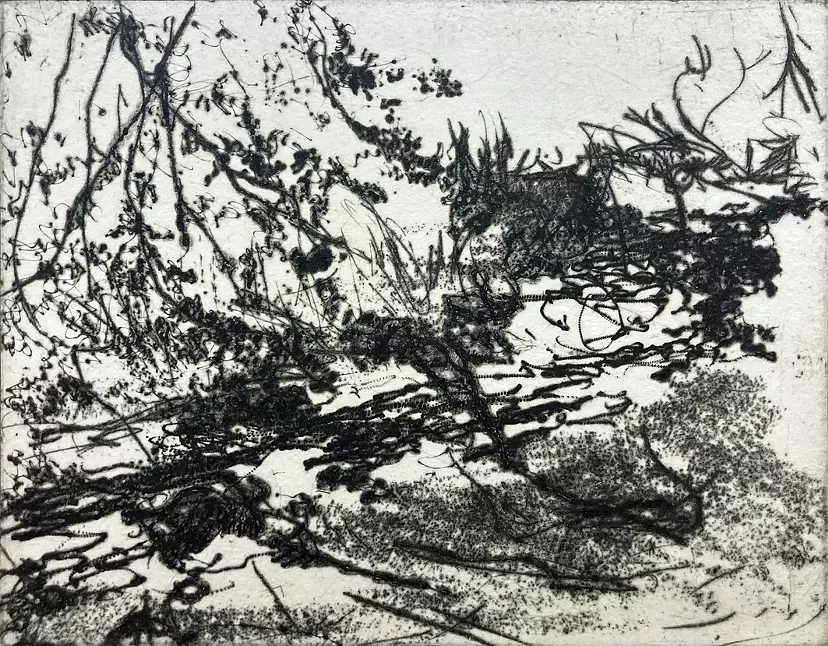 Carving our Landscape 2 