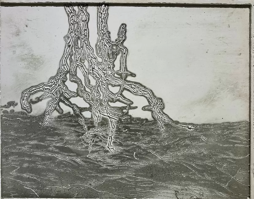 Sketch / a root
