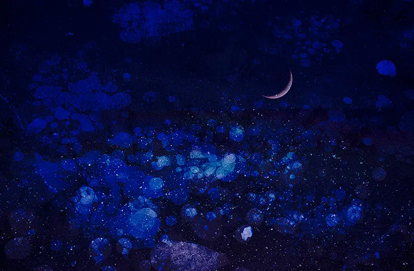 Lullaby for Memories