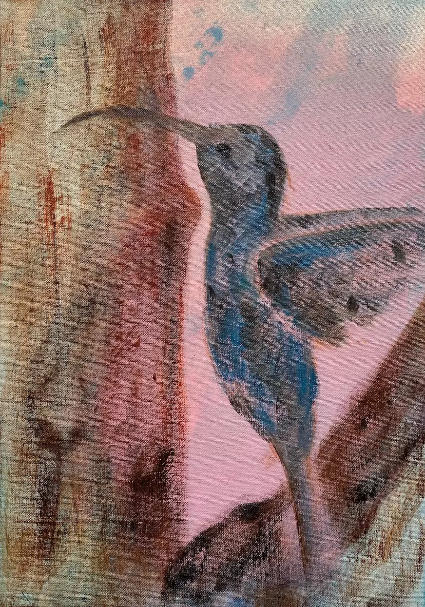 Colibrí