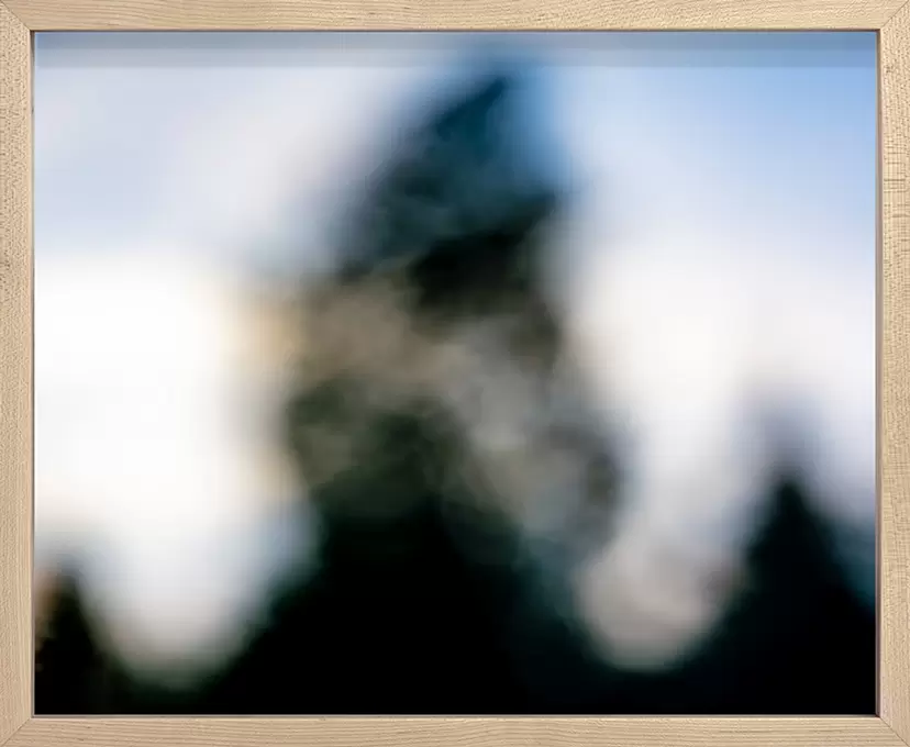 LANDSCAPER