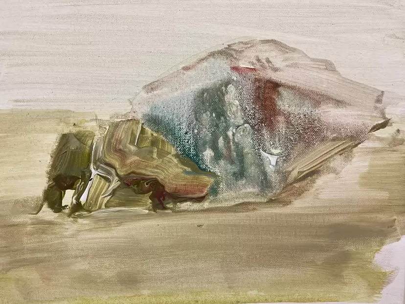 rocks