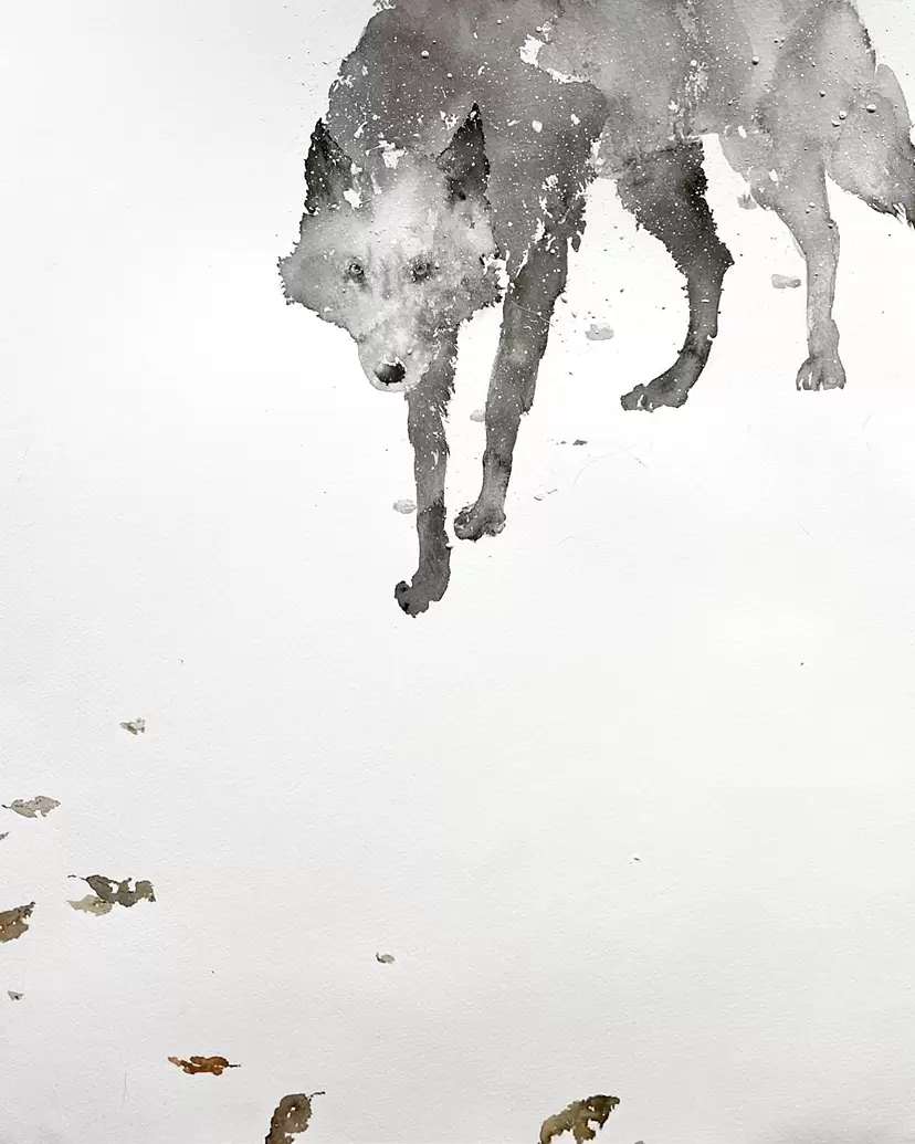 Wolf 3