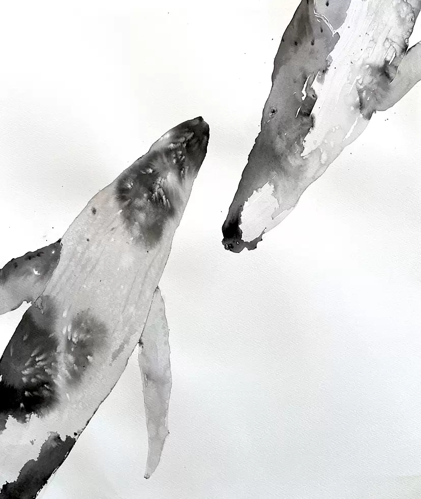Whale 7