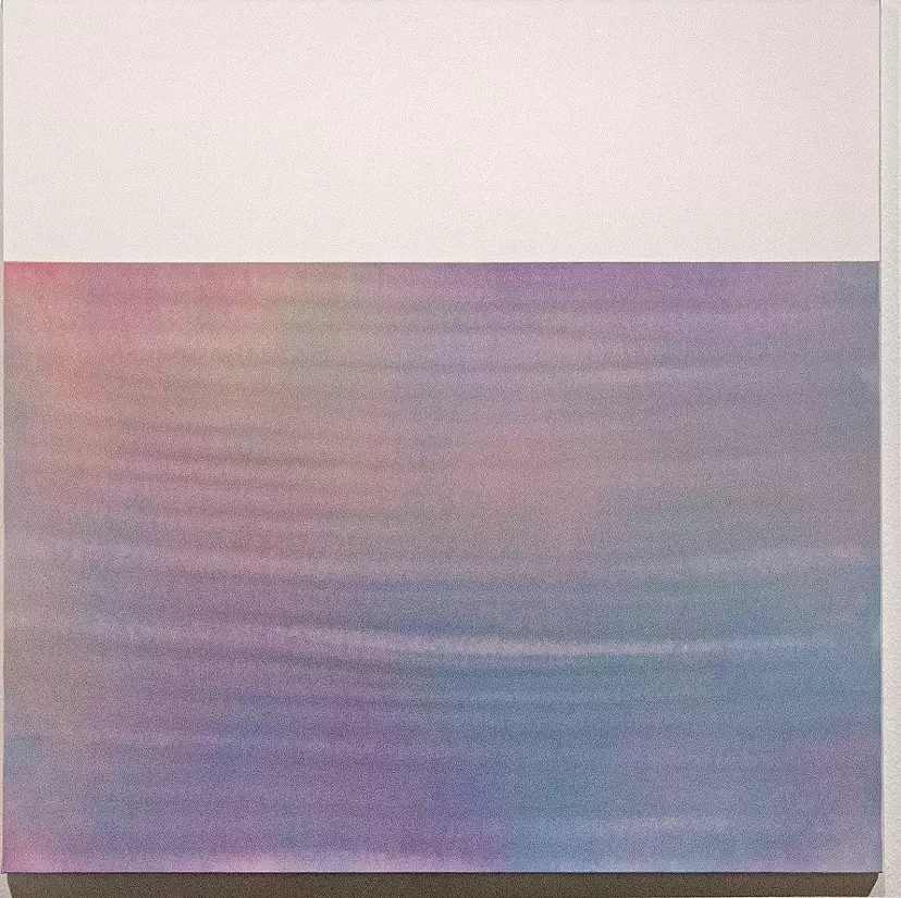 Introspection S4004