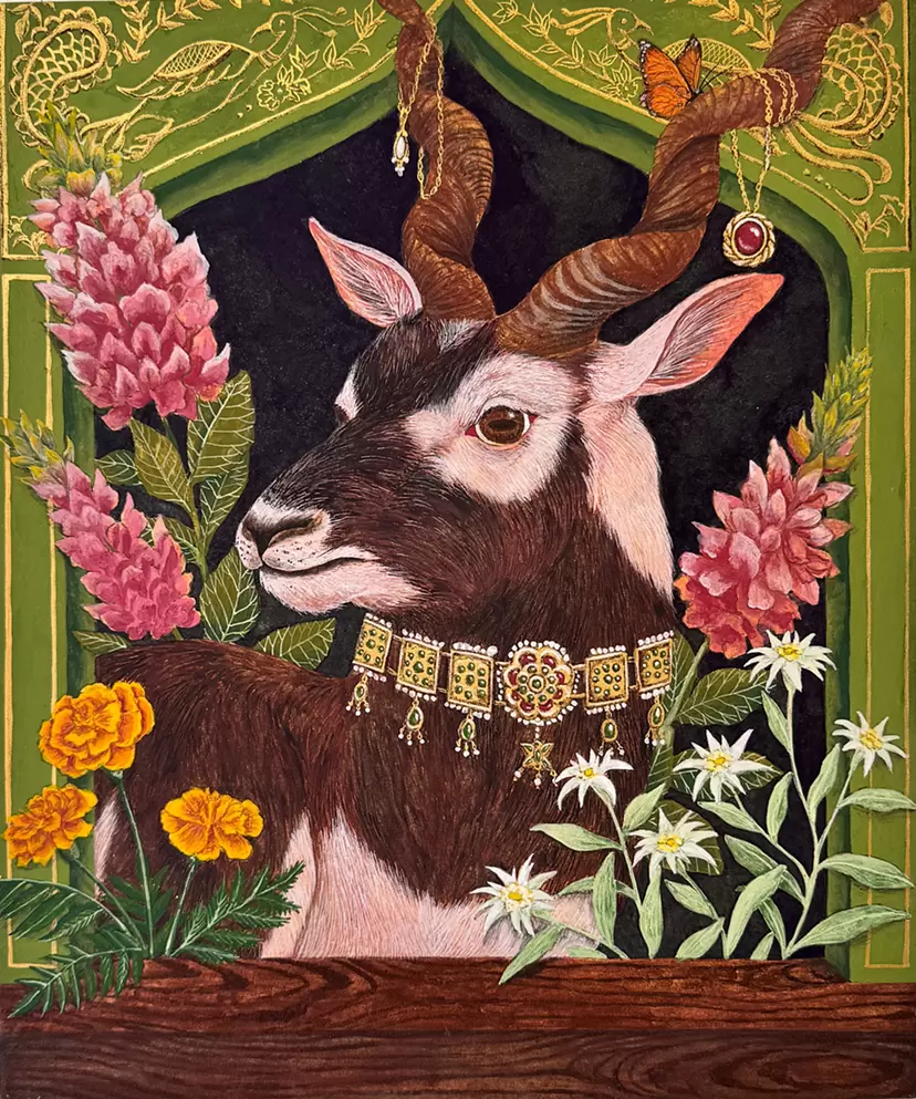 Blackbuck 