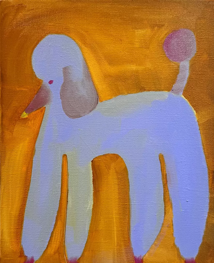 美脚な犬