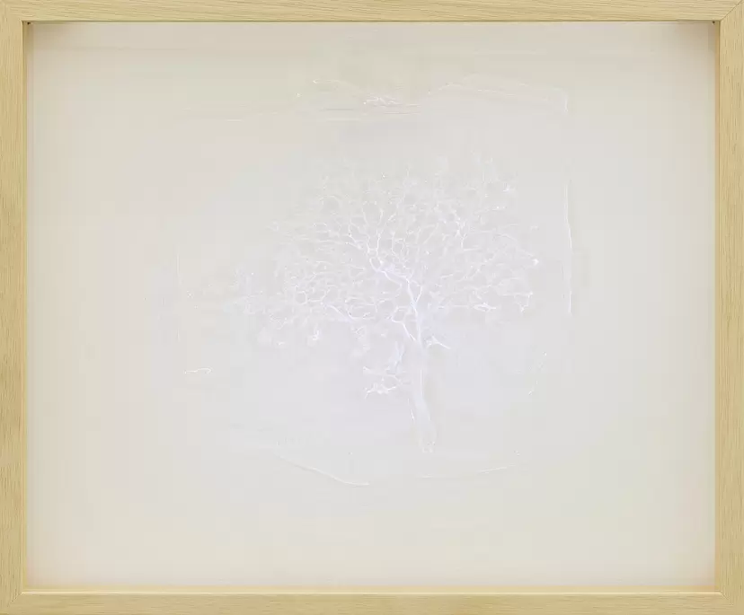 tree (from "specimen")