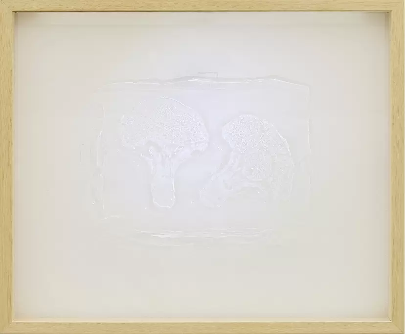 broccoli II (from "specimen")