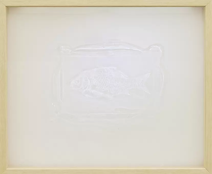crucian carpⅡ(from "specimen")