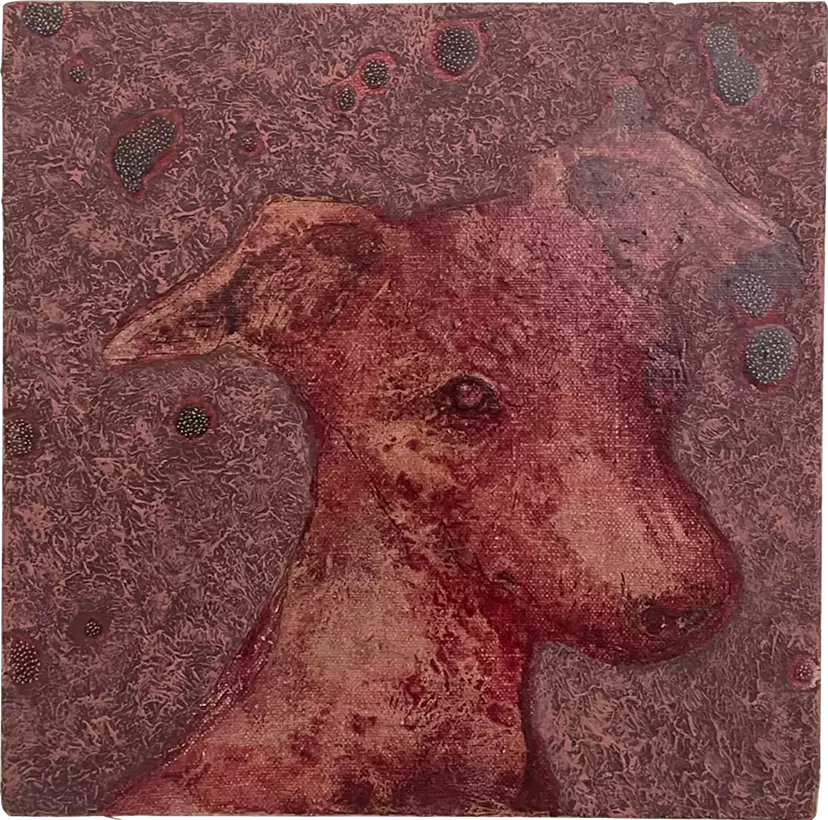 The Italian Greyhound(face)