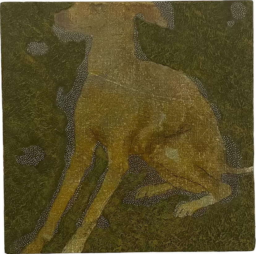 The Italian Greyhound(body)