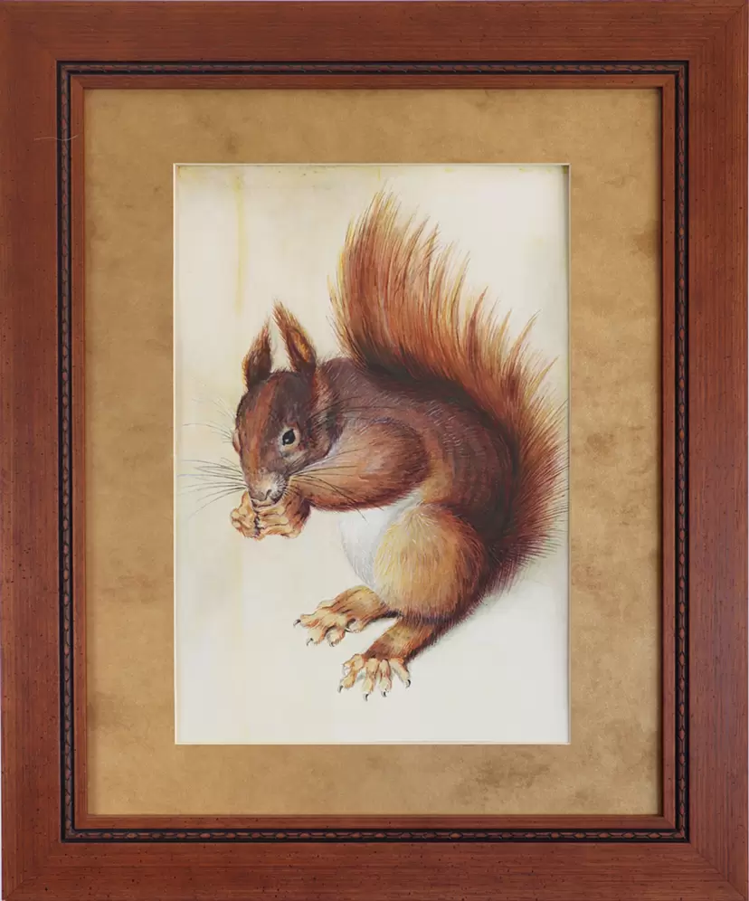 Squirrel by キャリ・ガッシュ | 現代アートの販売・通販