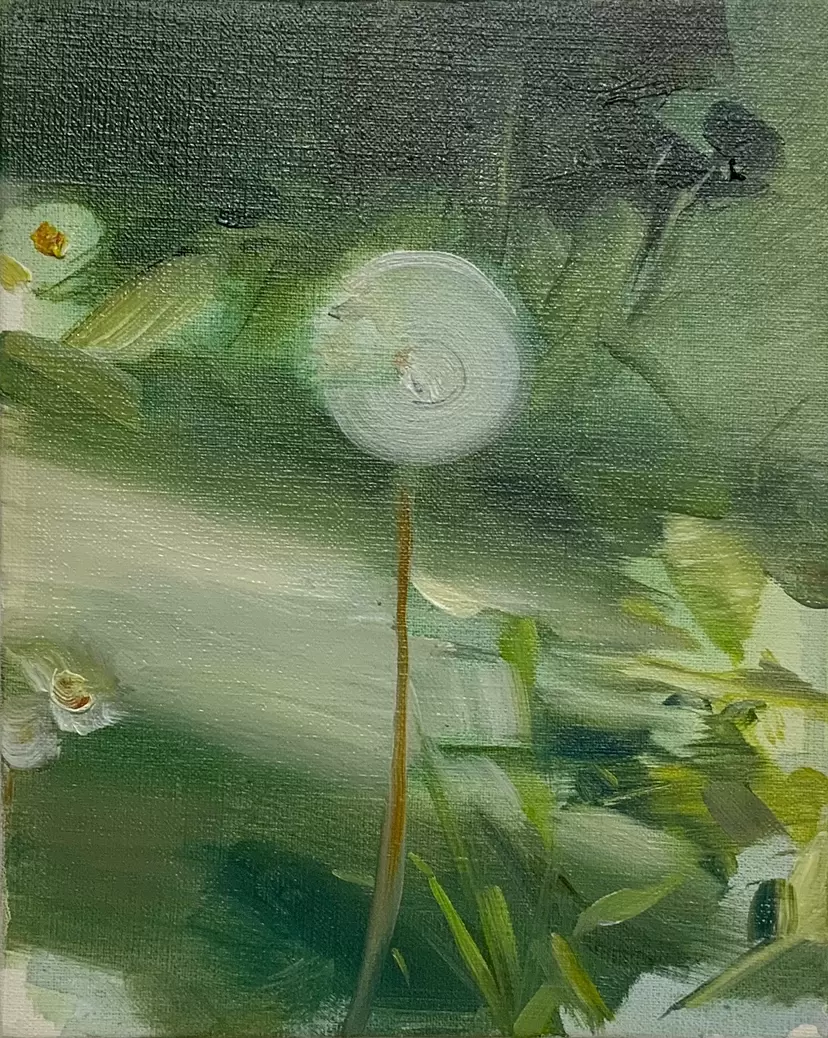 dandelion fluff