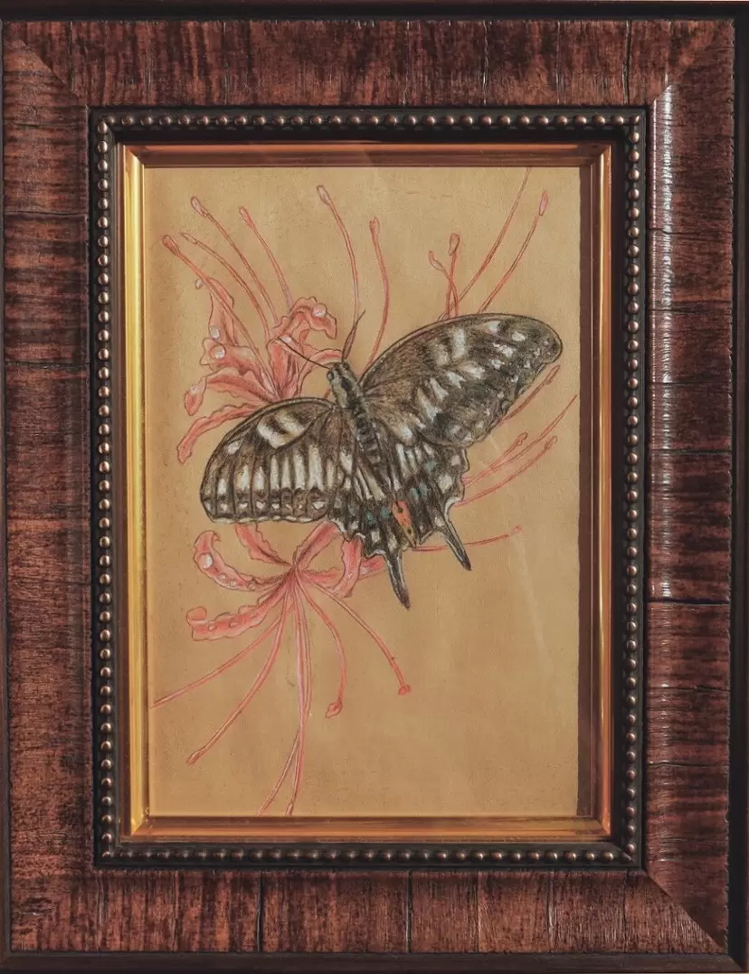 Swallowtail butterfly