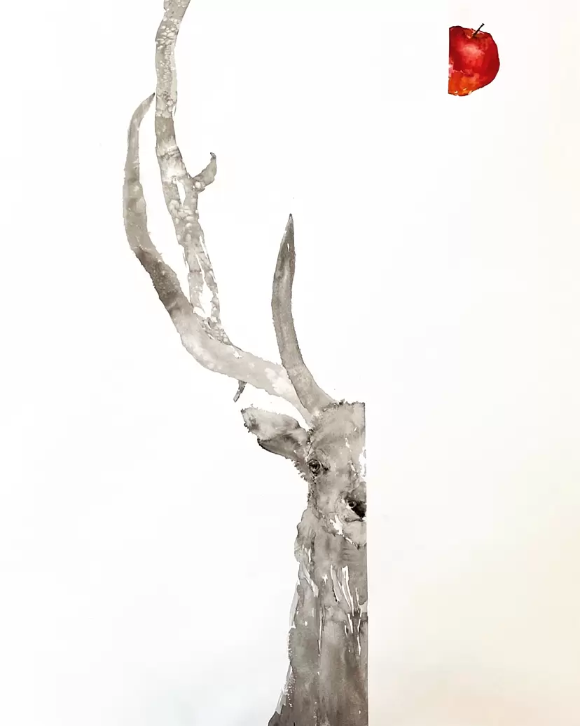 Deer