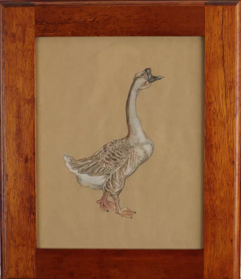 Goose