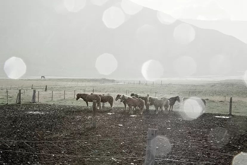 In between - Iceland