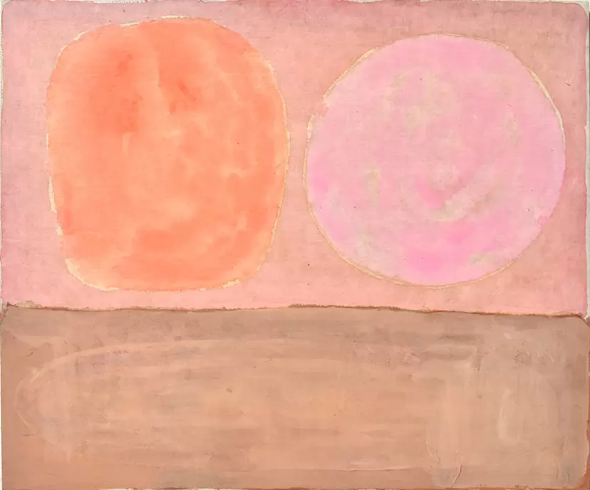 Apricot and peach