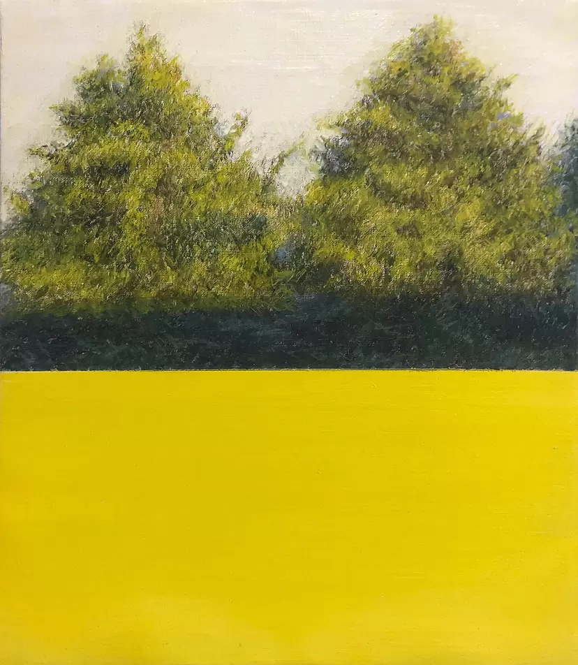 A Country Shadows