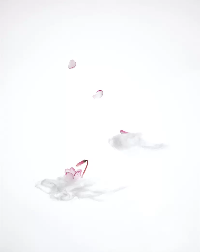 天空の妖精F　雲