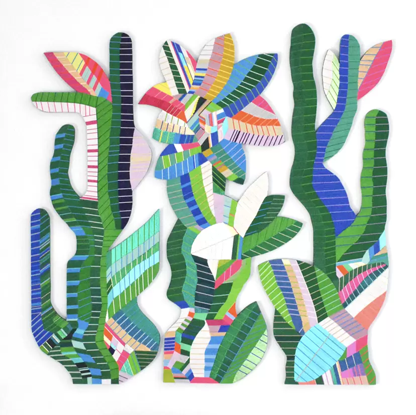 PLANTS