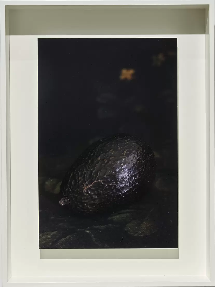 Untitled by 上田 義彦 現代アートの販売・通販 ArtSticker