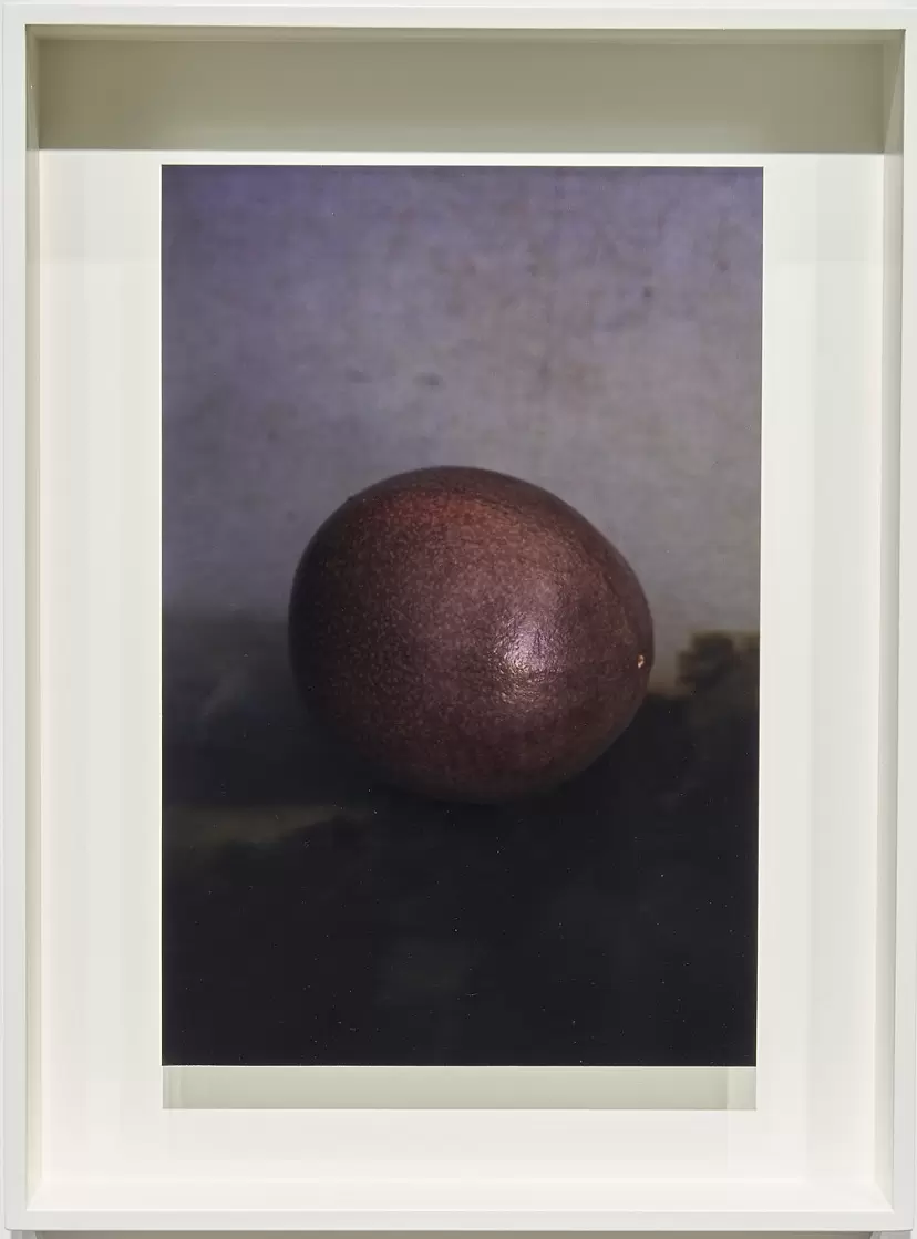 Untitled by 上田 義彦 | 現代アートの販売・通販 | ArtSticker Untitled by 上田 義彦 | 現代アートの販売・通販 | ArtSticker