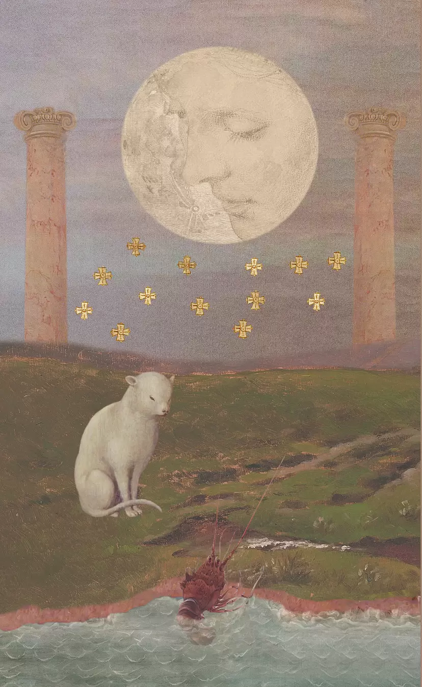 The Moon