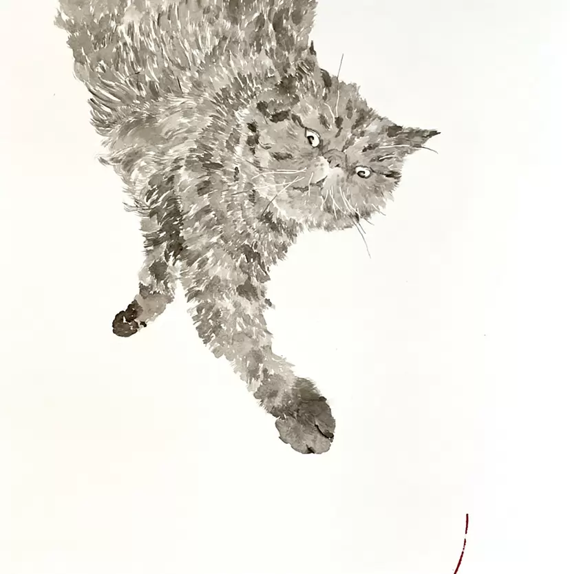 猫　右手