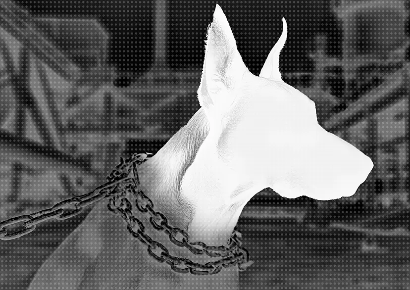 ヘスダーレンの犬 #0005