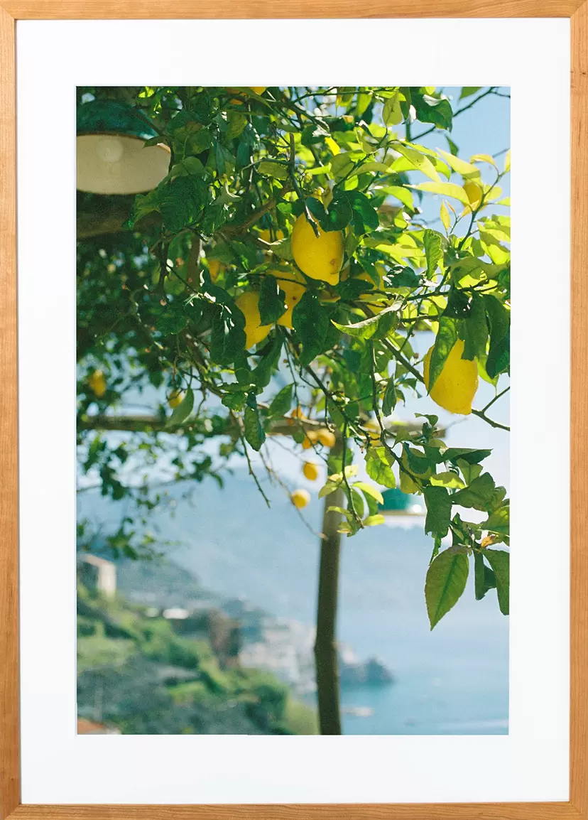 Amalfi Lemon