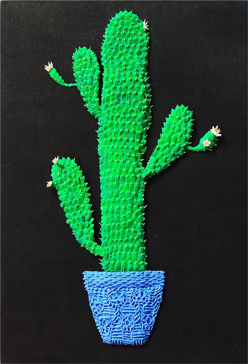 Cereus repandus_鬼面角