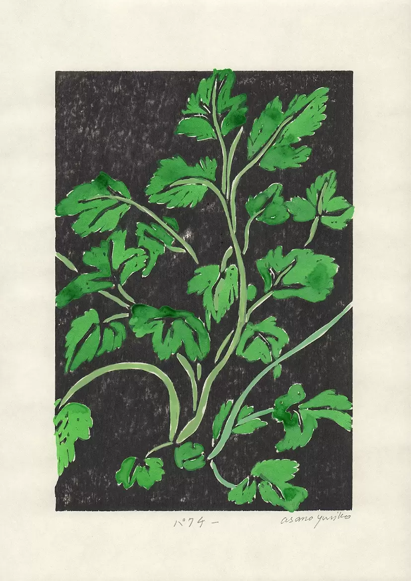 パクチー Coriander