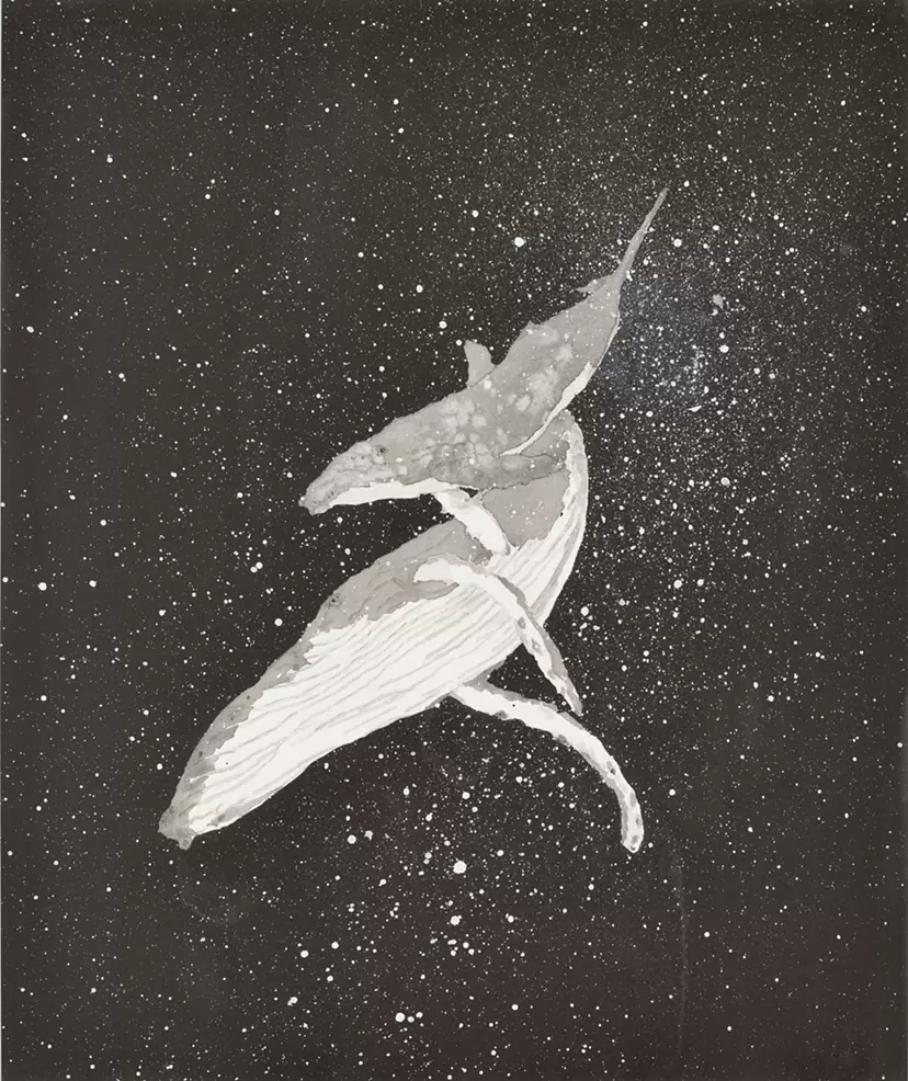 クジラ 親子