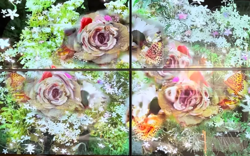 Noriko Kinouchi Original Digital Artworks のアート作品