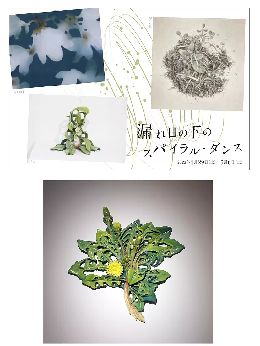 楊 珪宋 のアート作品 | 現代アートの販売・通販 | ArtSticker